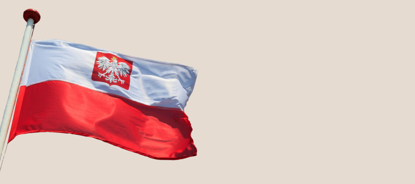 Курс "Польского языка с нуля"